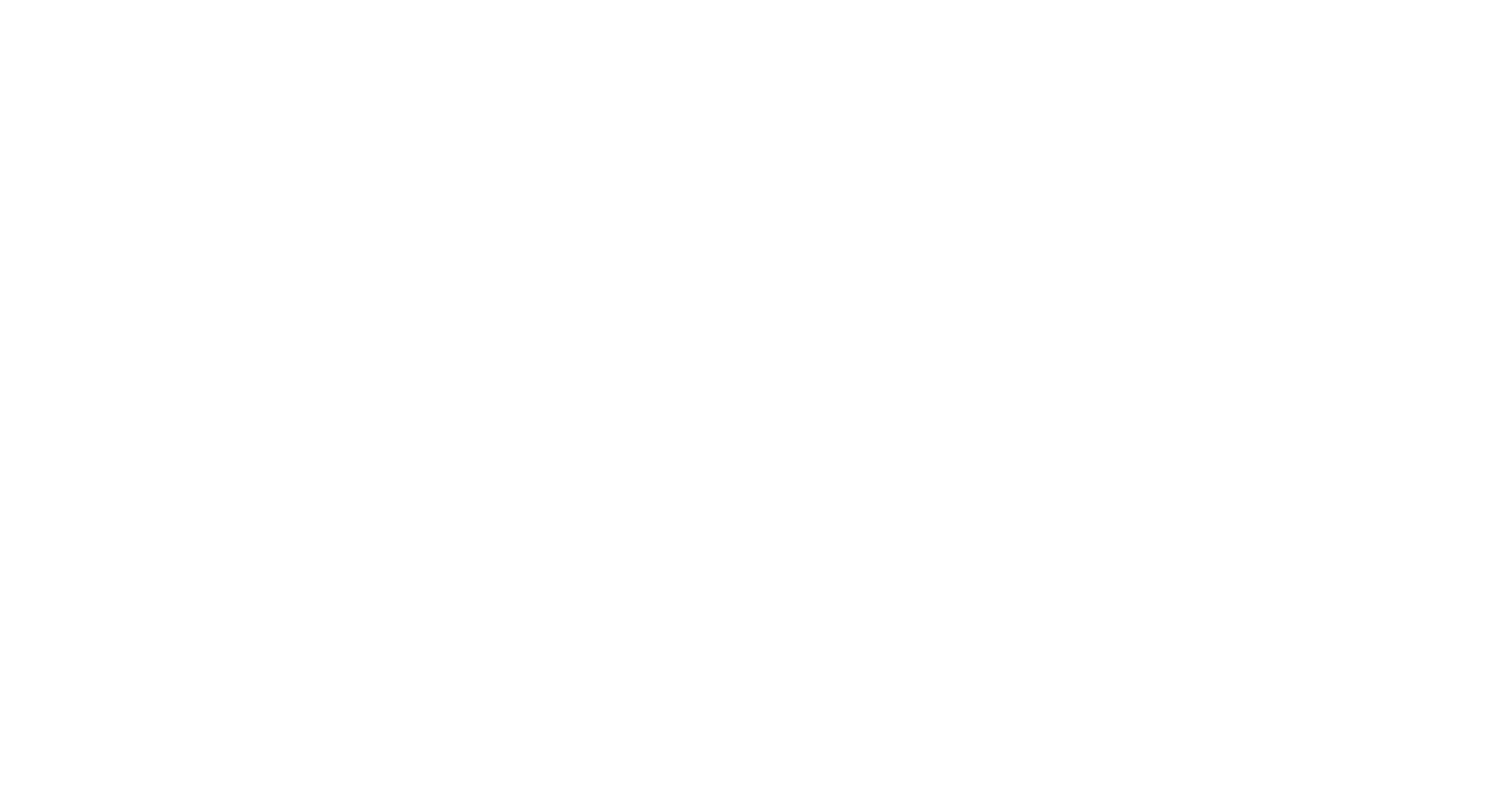 LOGO EVOLUTION MAP BLANCO